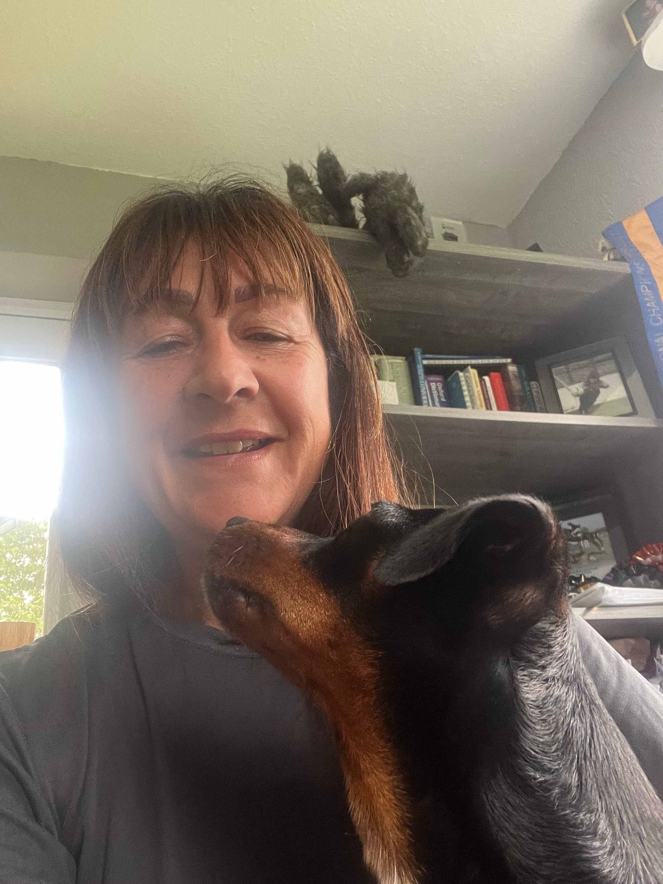Ron the Daxi Jax helping Debbie to write her blog