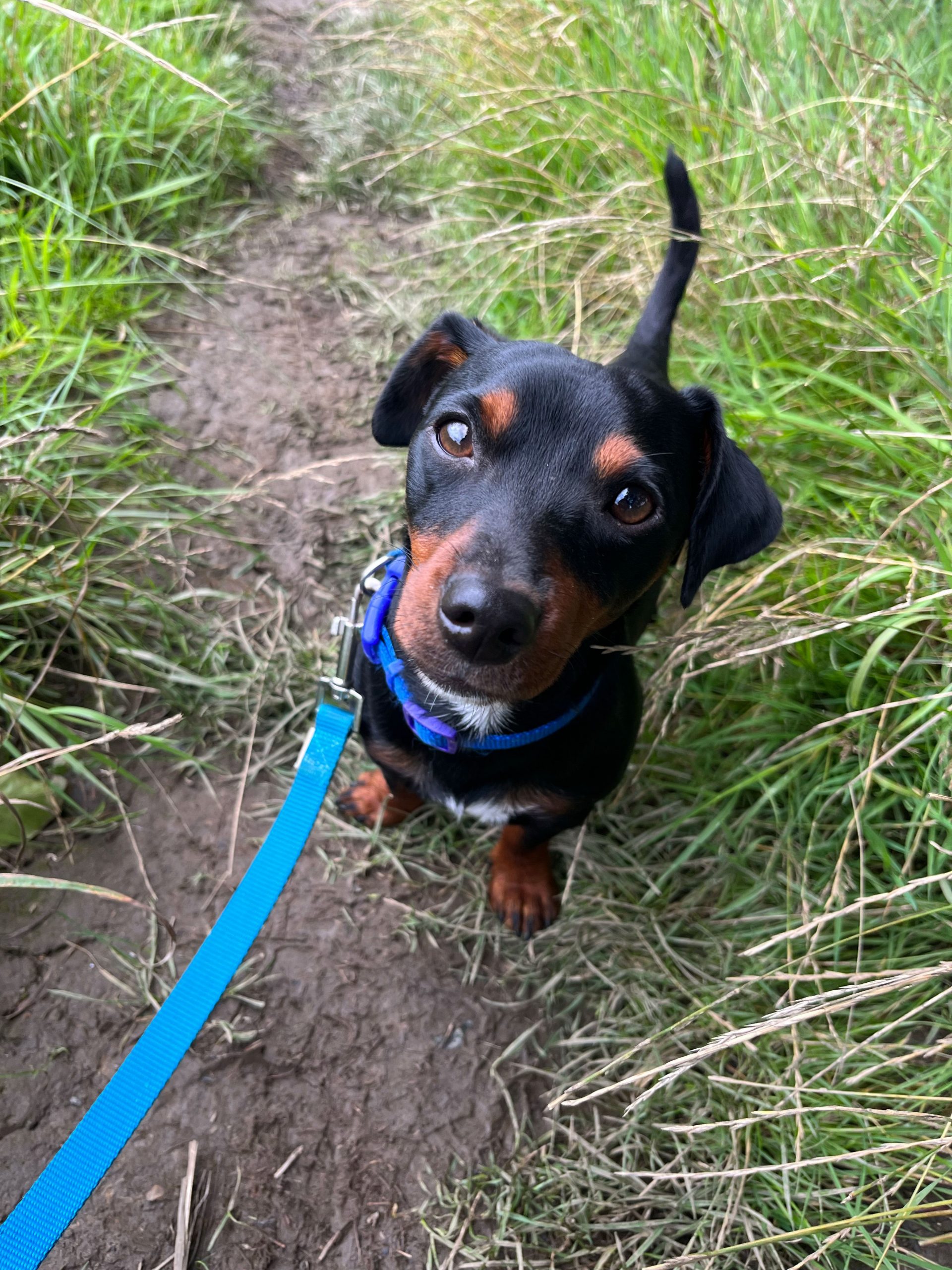 Ron Embracing the in between - Ron