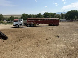 The horse transporter