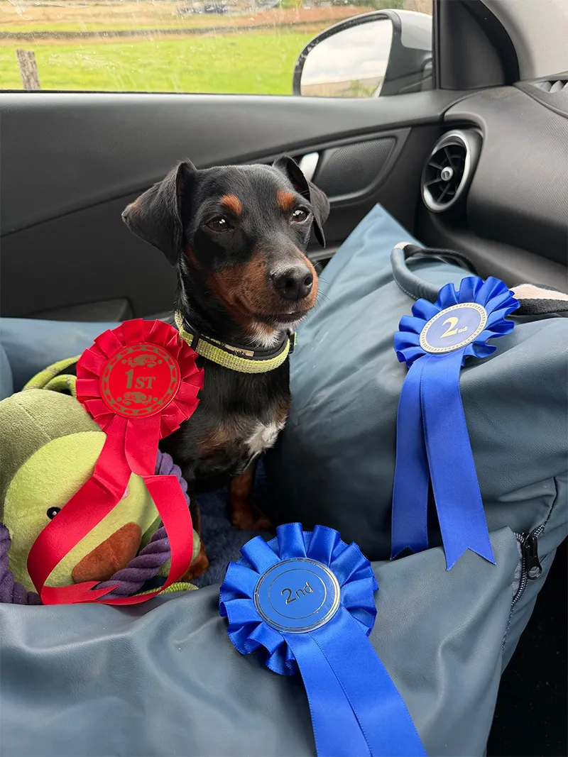 Ron's Rosettes